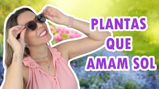 10 PLANTAS DE SOL PLENO | Para varandas e jardins com muito sol