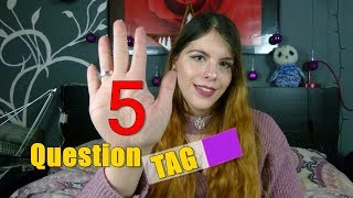 5 Question TAG | Perfektionismus als Makel? | über Hater aufregen | Q & A