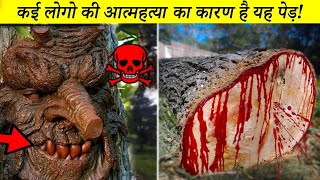 भारत का सबसे डरना खतरनाक जंगल || Bharat ka sabse Khatarnak jungle