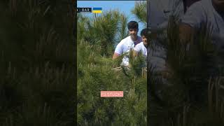 FANS CLIMBED A TREE TO WATCH GETAFE VS BARCA MATCH😅||LA LIGA|#getafe#barca#laliga#fans#tree#viralnow