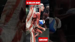 real human body#HealthScience #Anatomy #Physiology#trending #youtube #viral