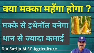 Maize to ethanol- petrol | मक्के से गाड़ियाँ चलेंगी | kisan ki income badegi |