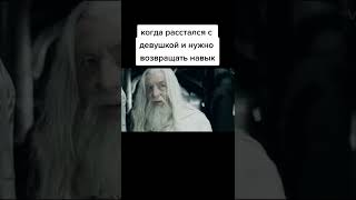 Меченосцы поймут