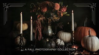 Turn Your TV into Art | Moody Thanksgiving Fall Photography | 1 HR 4K Slideshow