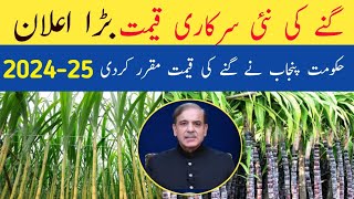 Sugarcane Rate in Punjab Pakistan 2024