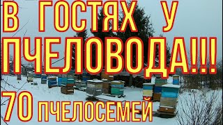 В гостях у пчеловода. Обзор пасеки.