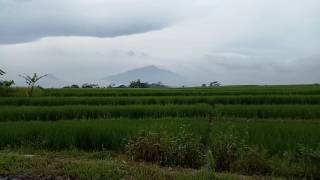 Pemandangan Indah di Pedesaan