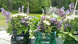 Using Fresh and Dried Herbs in the Chicken Coop