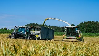 🌾GPS Silage für Biogas 🌾| Hektar Jagt bis in die Nacht | Silage 2020