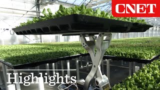 Watch Amazon's Greenhouse Robot Deliver Fresh Produce