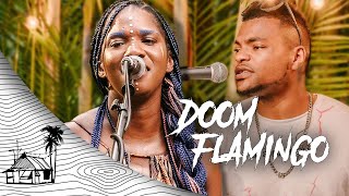 Doom Flamingo - Don't Dream It's Over - Crowded House Cover (Live Music) | Sugarshack Sessions