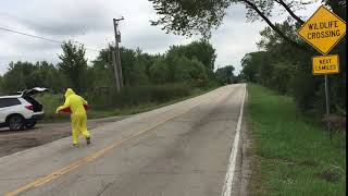 Man in chicken suit - #2