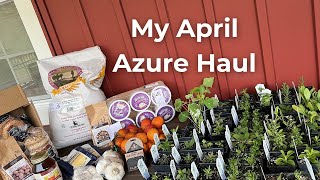 My Azure Haul for April | Their Plants Are Here!