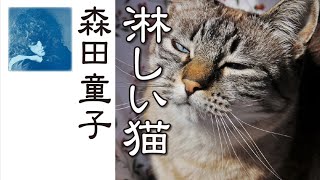 淋しい猫  Lonely Cat  ：  森田童子  Morita Doji