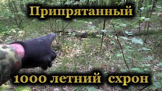 Обнаружили в лесу 1000-летние находки... Фильм 151