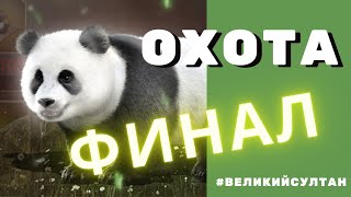 Великий Султан | ЛЕСНАЯ ОХОТА | Финал