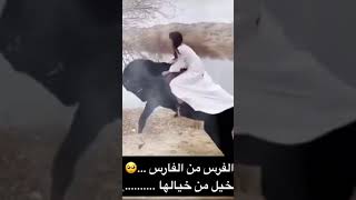 الخيل متعود عليها ويبغا يسوي معاها🔞🔞🔞🔞