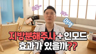 팻버닝시리즈 6탄. 지방분해주사 (팻버닝주사) + 인모드로 V라인 만들수 있을까??