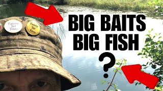 BIG BAITS for BIG FISH???? #fishing #riverfishing #fishingtailfilms #bigfish #kingfishers