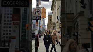 Toronto City Life #shorts | Downtown Toronto | Toronto Weather