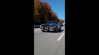 Autumn leaves and roaring dreams with the 1967 GT500E Supersnake