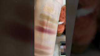 SUQQU autumn limited edition  eyeshadow 106 and 107 swatches