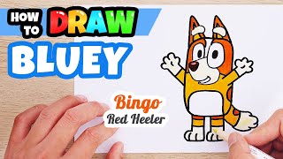 How to draw Bluey Family | Bingo | Kids Drawing | Step by Step | Kids Animation Star | Red Heeler