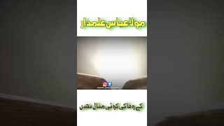 مولا عباس ء کے وفا کی کوئی مثال نہیں  #shorts #ytshorts