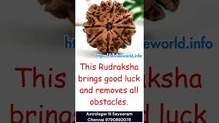 Eight Mukhi Rudraksha – 8 Faced Rudraksha #astrology