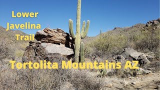 Lower Javelina Trail, Marana AZ