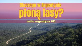 Radio Argentyna #11 | Dlaczego w Argentynie płoną lasy