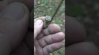 Неведомое нечто из леса #shorts #metaldetecting #поисксметаллоискателем #неведомоенечто #coin #коп