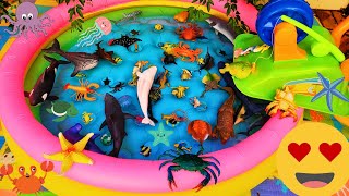 SEA ANIMALS FOR TODDLERS: SEA DRAGON, SQUID, SHRIMP, STINGRAY, SEAL, GURNARD, SHARK, AND OTHERS