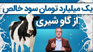 یک میلیارد تومان سود از گاو شیری! The profit and loss of raising 25 dairy cows