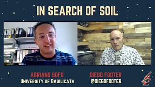 Soil Macrofauna - What and Why they are Important | In Search of Soil