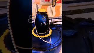 Om Namah Shivaya | ஓம் நம சிவாய