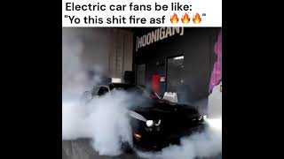 Electric car owners