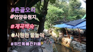 #촌골오리-물놀이 하면서 백숙 먹기 #안양유원지 #위드독애견카페