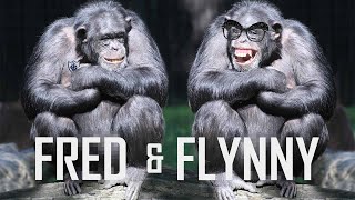 Fred & Flynny Live : With Pat Tyson