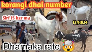 korangi dhai number Bakra mandi ajj Munasib rate ka maal October 13, 2024 |#mashallahgoatfarmawadh