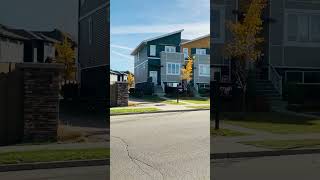 Edmonton 🍁 #shorts #short #subscribe #viralvideo #trending #like #canada #shortsviral #viralvideos