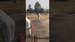 Cricket lover ❤️🏏💟 #cricketshorts #cricket #ytshorts #ytshort #shorts #shortvideo #trending #bcci