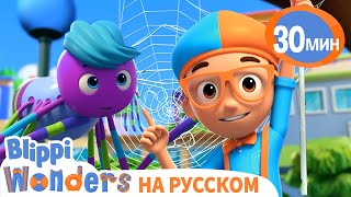 Вяжем Паутину вместе с Блиппи | Обучающие мультики для детей | Blippi Russian