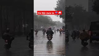 mưa lớn ở Hà Nội | Vietnam | #hanoi #việtnam #rain  #nature