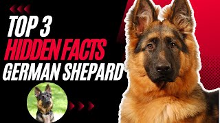 Unveiling 3 Hidden Facts About German Shepherds | Fascinating Insights