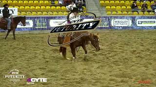 Classic Amateur Finals NCHA 4Cyte Futurity 2024