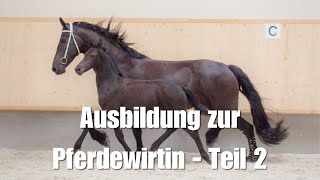 Auf der Suche nach einem Ausbildungsbetrieb - Pferdewirtlehre Teil 2