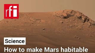 Fungi and bacteria may be used to make Mars habitable • RFI English