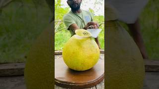 Pomelo Fruit | Easy Pickles | jambola | Cook with Kani