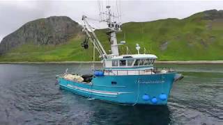 Seiners fishing in Sand Point 2018